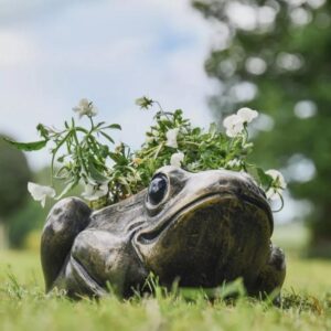 Frog Garden Planters